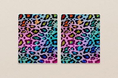 Rainbow Leopard Print Disc-Bound Planner Coverset - image2